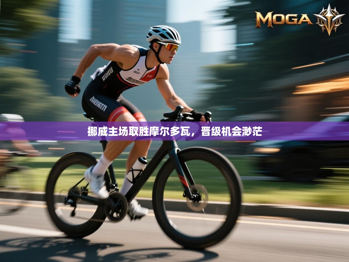 挪威主场取胜摩尔多瓦，晋级机会渺茫