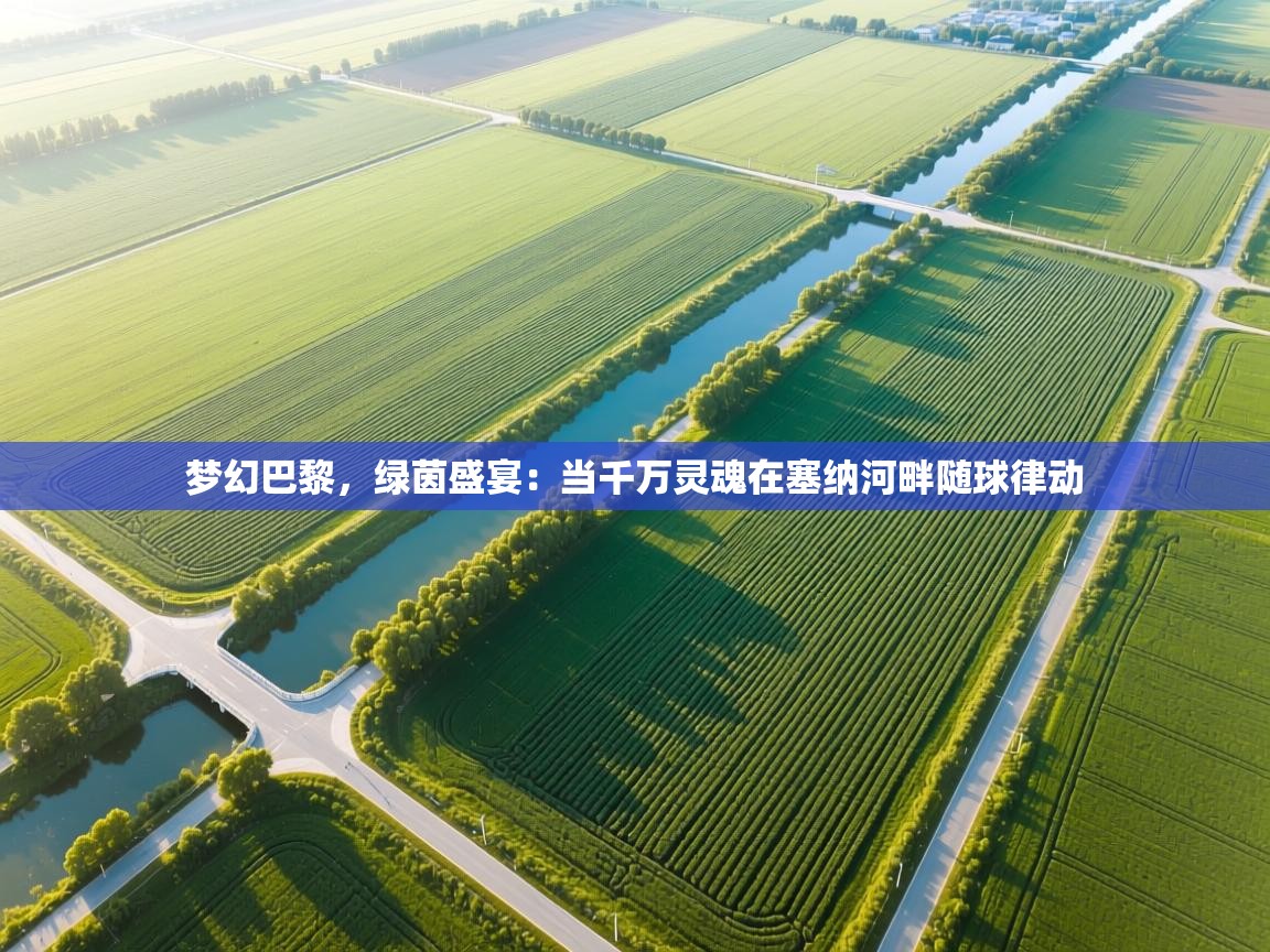 梦幻巴黎,绿茵盛宴:当千万灵魂在塞纳河畔随球律动