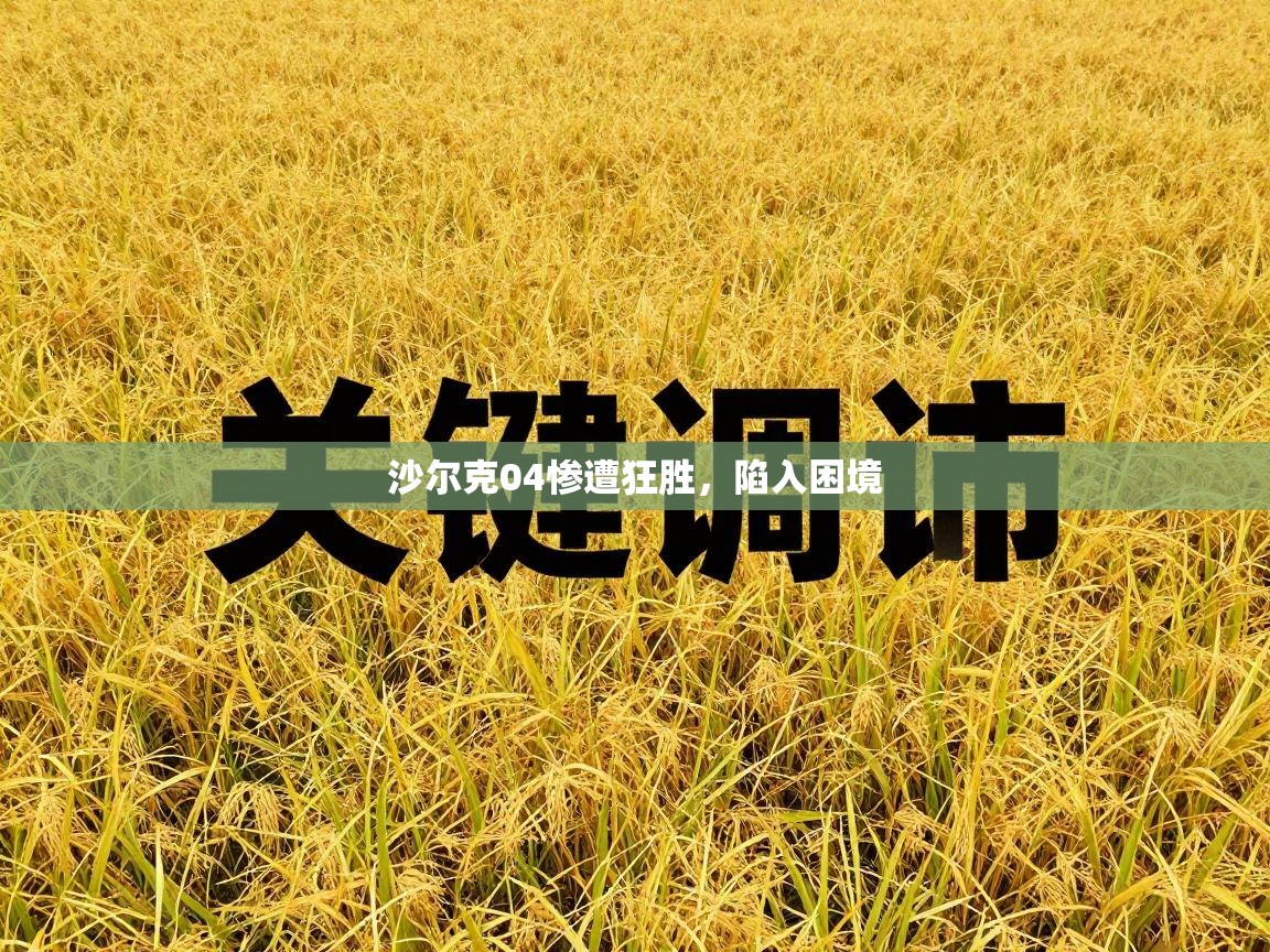 沙尔克04惨遭狂胜，陷入困境  第2张