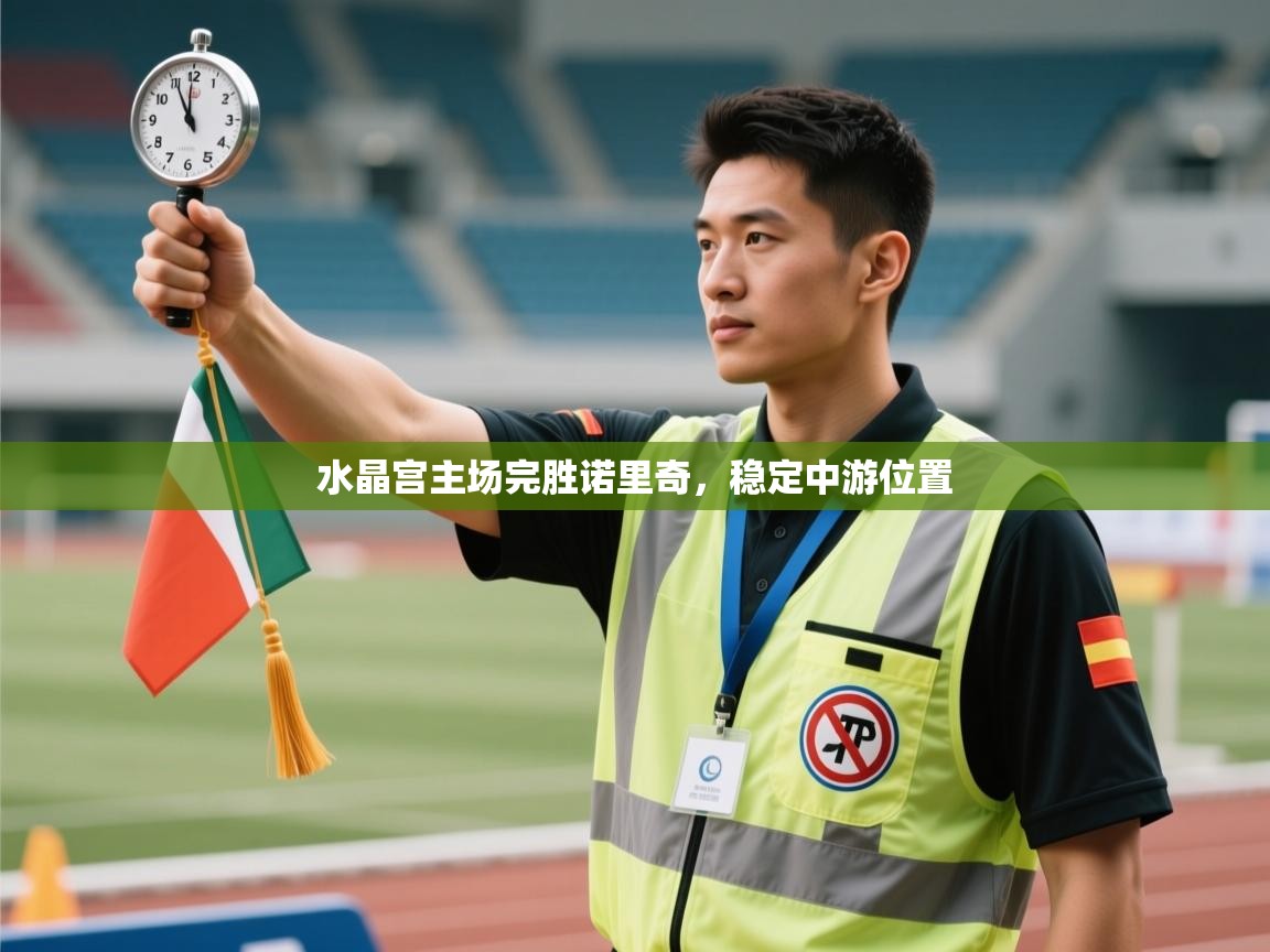 水晶宫主场完胜诺里奇，稳定中游位置  第2张