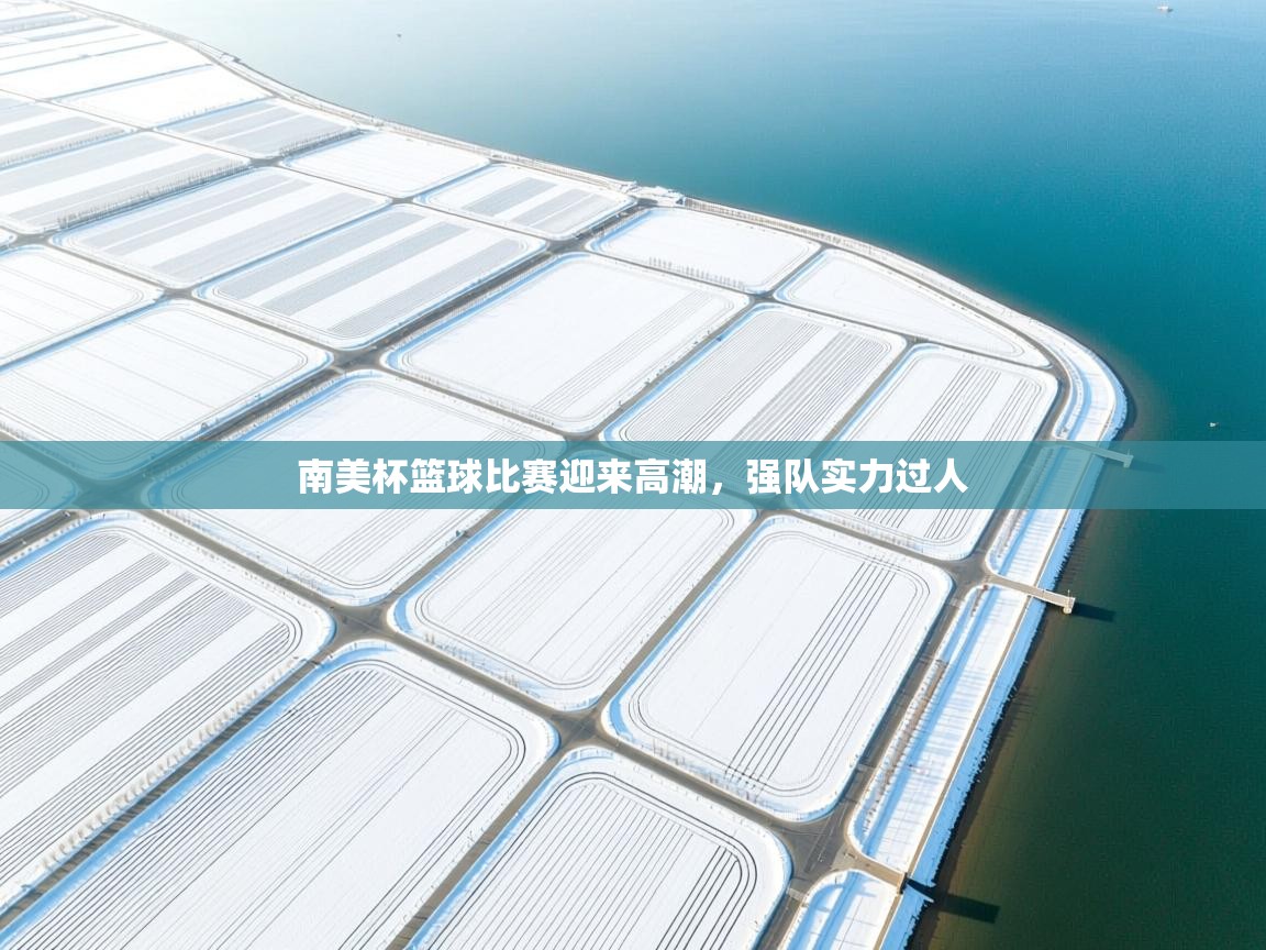 南美杯篮球比赛迎来高潮，强队实力过人