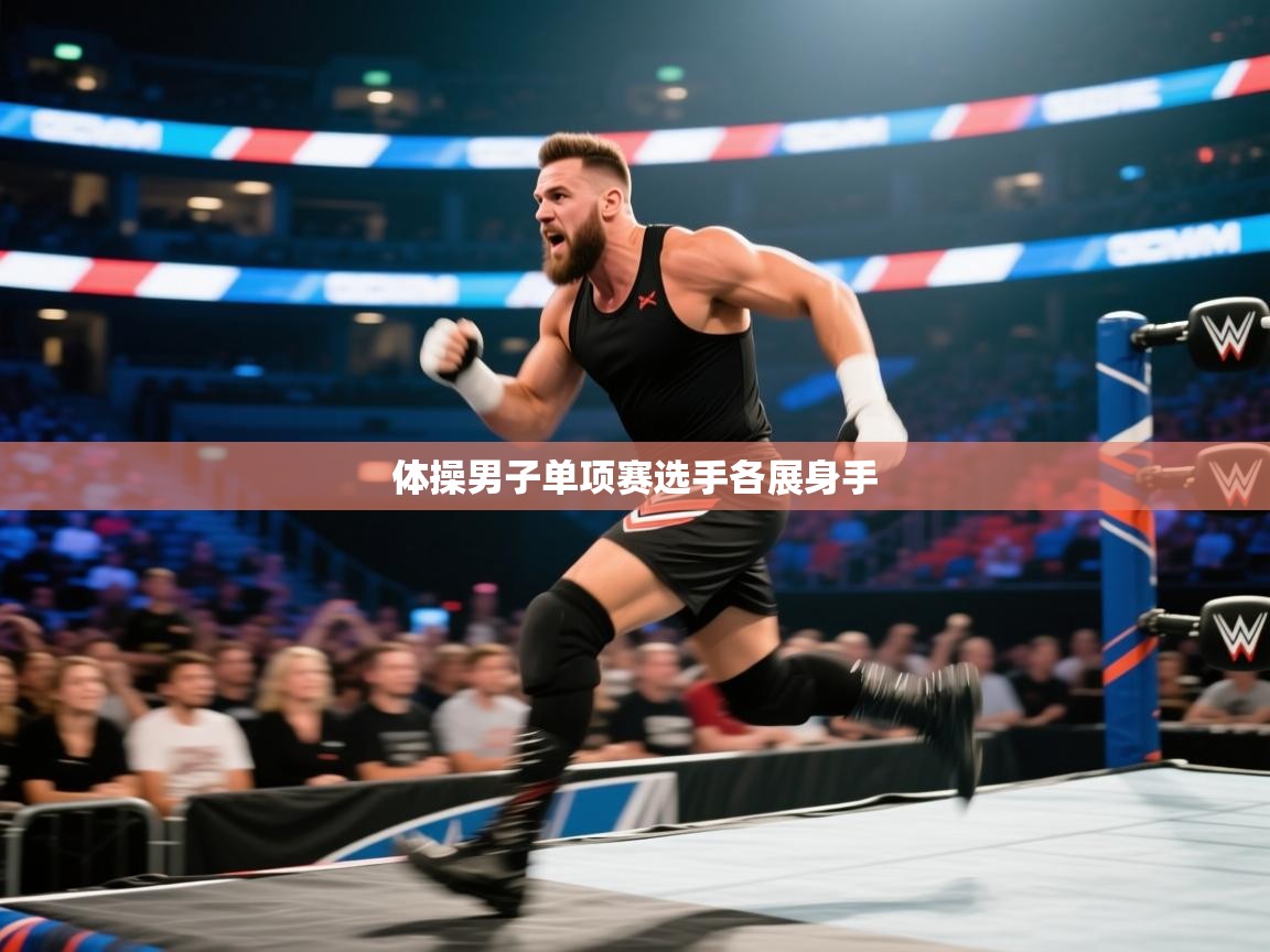体操男子单项赛选手各展身手 第2张